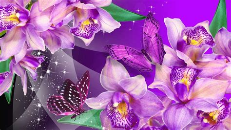 Purple Orchid Wallpapers - Top Free Purple Orchid Backgrounds ...