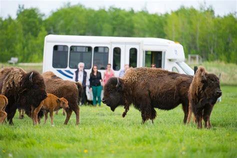 Must Visit Places in Manitoba