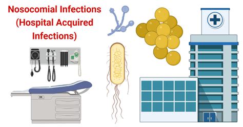 Nosocomial Infection: What Is It, Causes, Prevention, And, 43% OFF