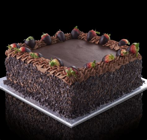 Chocolate Decorated Sponge Cake Sydney | CBD Cakes | Cakes Sydney