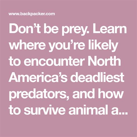 Survive an Animal Attack | Animal attack, Survival, Animals