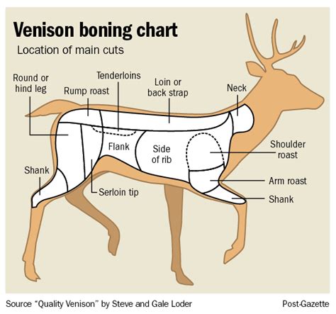 Deer Cutting Chart