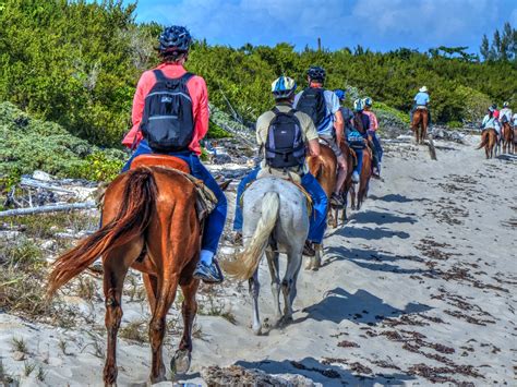 Horse Riding Along Beach Free Stock Photo - Public Domain Pictures