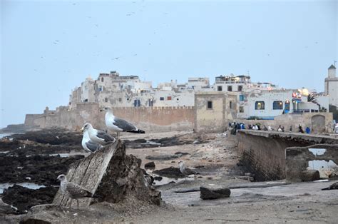 Here’s Why You Shouldn’t Miss the City of Essaouira, Morocco