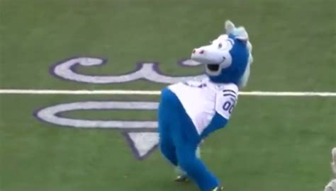 the other paper: Colts mascot gets weird with kids during halftime ...