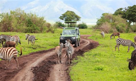 Mawere Tours and Safaris: 1 Day safari in Mikumi National Park.