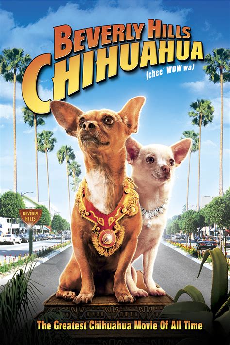 Beverly Hills Chihuahua ? - new movies this week - doorturbabit