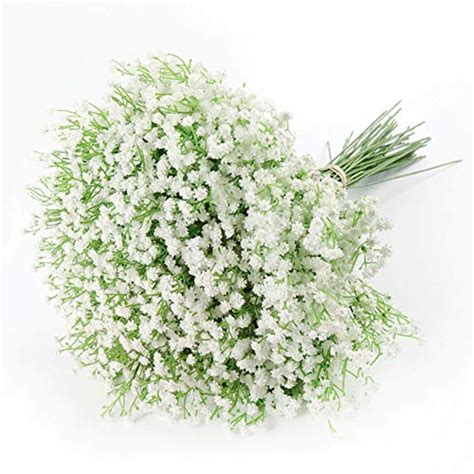 Best White Baby’s Breath Flowers