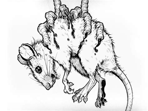 Rat Outline Drawing at GetDrawings | Free download