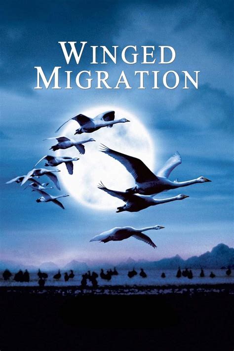 Winged Migration (2001) | MovieWeb