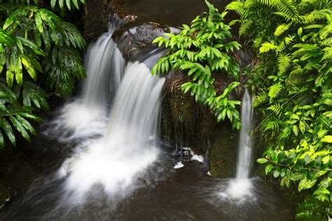 12 Most Beautiful Big Island Waterfalls (+ How to Visit!)