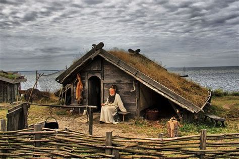 Viking_village_by_mihahaela in 2020 | Viking village, Viking house, Vikings