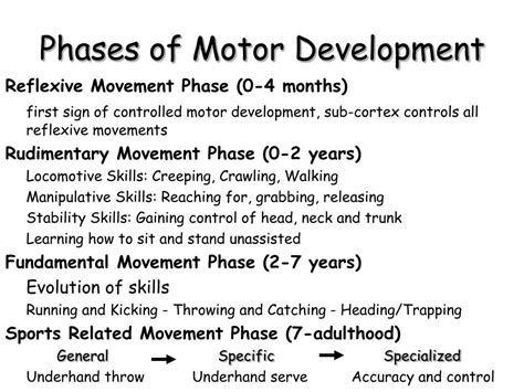 PPT - Phases of Motor Development PowerPoint Presentation, free download - ID:2473942