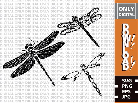 Dragonfly Svg Dragonfly Svg Bundle Dragonfly Clipart - Etsy