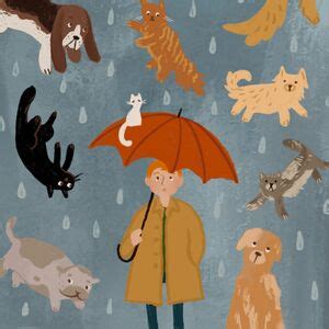 The Day it Rained Cats and Dogs by S. Blais | CommonLit