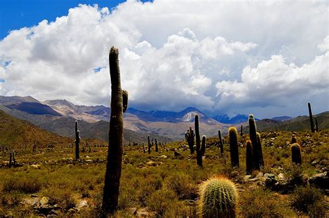 Trekking Argentina's Salta Region - 10 Days | kimkim