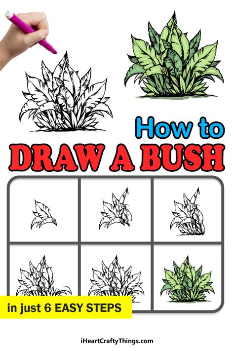 Bush Drawing