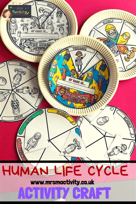 Human Life Cycle Activity Craft | Primary Teaching Resources | Human life cycle, Life cycles ...