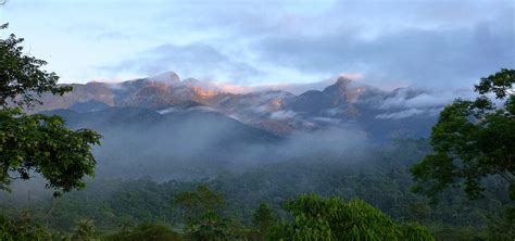 Southern Brazil - Wildlife-Lodges