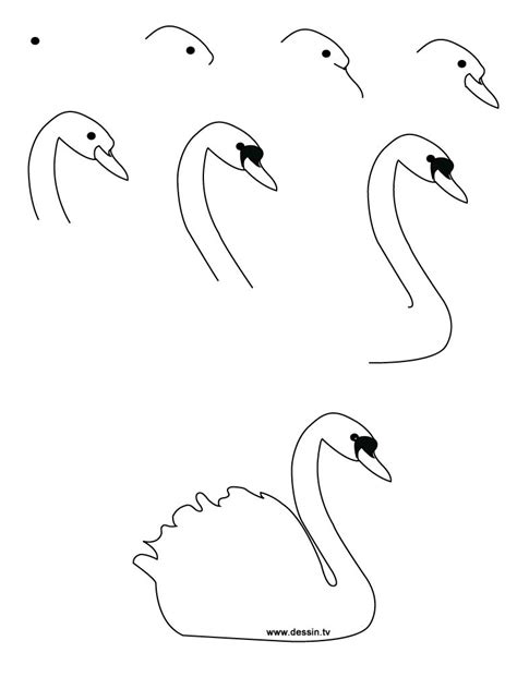 How To Draw Swan at How To Draw