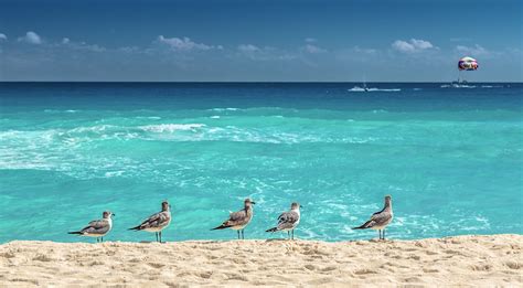 Yucatán Peninsula travel - Lonely Planet