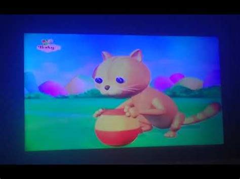 baby TV crystal ball cat - YouTube