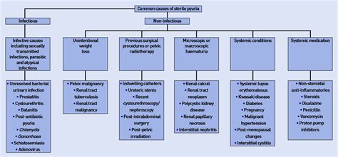 Sterile pyuria: a practical management guide | British Journal of ...