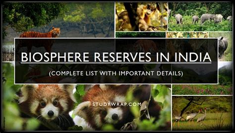 Biosphere Reserves in India (Complete State-wise List) - Study Wrap