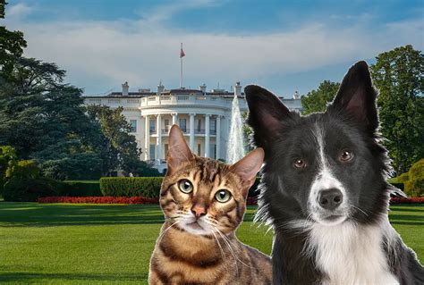 Presidential Pets: A History of Animals at the White House