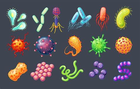 Premium Vector | Bacteria and virus vector icons. Germs, coronavirus ...