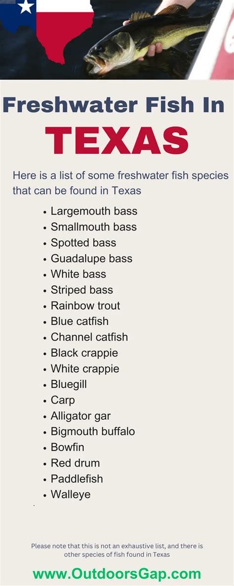 Where Is The Best Fishing In Texas? Top Spots To Cast Your Line ...