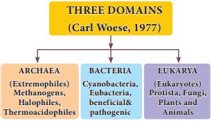 Three Domains of Life