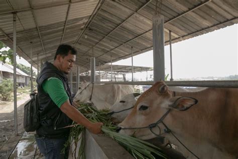 SATU Indonesia Awards Astra ajak anak muda minati sektor agribisnis - ANTARA News