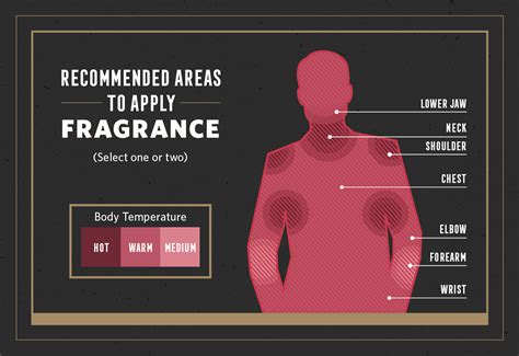 How to Apply Cologne | FragranceX