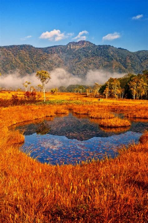 Autumn in Oze, Japan | Scenery, Nature, Beautiful nature