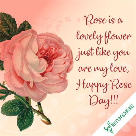 Happy Rose Day Quotes, Wishes N Greetings | Rose Day 2019 - Ferns N Petals