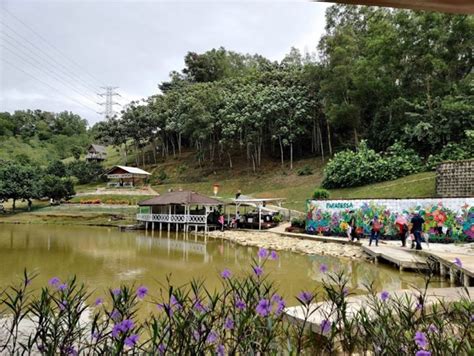 Bukit Jelutong Eco Community | Destinasi Ekopelancongan Terbaik