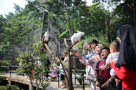 Kebun Binatang Bandung 2023 untuk Wisata Bareng Keluarga dan Anak ...