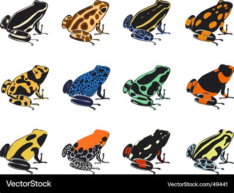 Various species of poison-dart frogs Royalty Free Vector