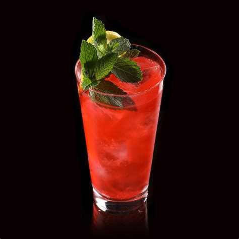 Watermelon Fizz Cocktail Recipe