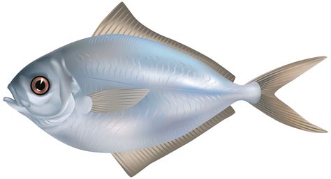 Αποτέλεσμα εικόνας για fish artclip | Fish, Png images, Fish clipart