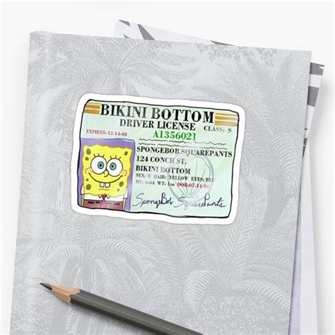 "Spongebob Squarepants Driver's License" Sticker by akachayy | Redbubble