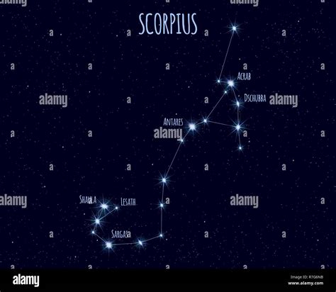 Scorpius (The Scorpion) constellation, vector illustration with the names of basic stars against ...