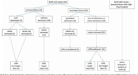 Figure 1 from Lung volume reduction surgery as salvage procedure after previous use of ...
