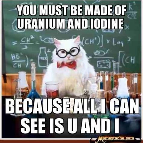 Science Cat Meme Funny Image Photo Joke 08 | QuotesBae