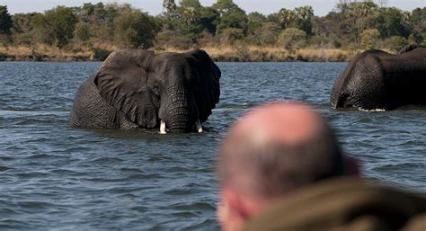 Kafue National Park safaris |Zambia | Expert Africa