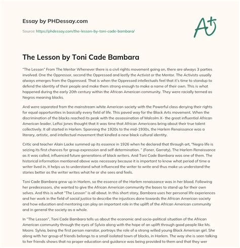 The Lesson By Toni Cade Bambara Summary Essay Example - PHDessay.com
