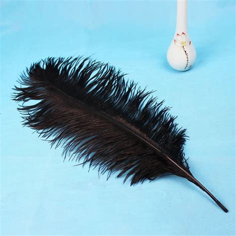 Pluma de la avestruz Wholesale 5 pcs ostrich feathers 18 20inches/45 50cm long black feather-in ...