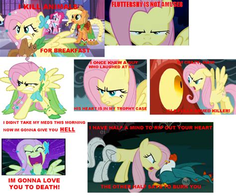 Angry Fluttershy Collage by Zukamexe on DeviantArt