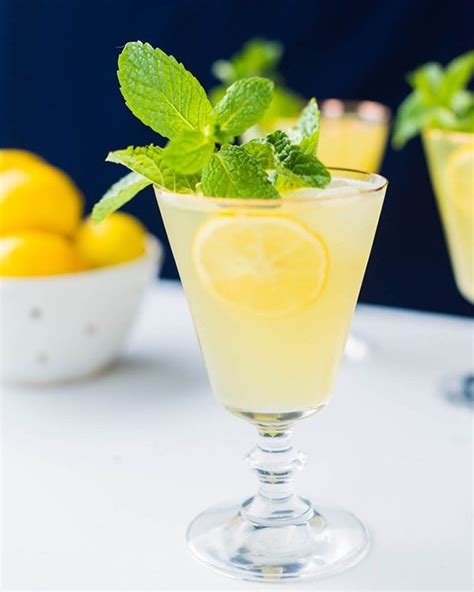 Sparkling Meyer Lemon Gin Cocktails With Mint by craftandcocktails | Quick & Easy Recipe | The ...